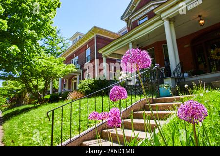 Maison traditionnelle en brique avec chemin de fleurs violettes dans un cadre de banlieue Banque D'Images