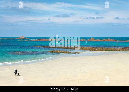 Femme et son chien à Cobo Bay, paysage de plage de sable à Guernesey, îles Anglo-Normandes Banque D'Images