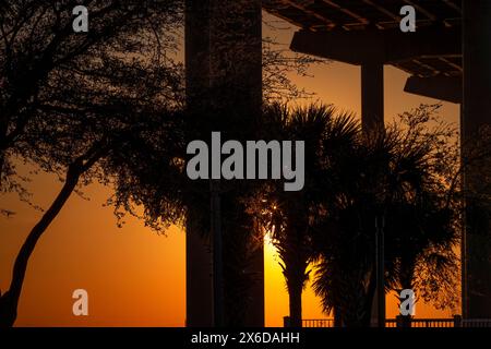 Couleurs du coucher de soleil et silhouette des arbres et des collums sous Arthur Ravenel, Jr. Pont au Memorial Waterfront Park le long du mont Pier agréable dans le Cha Banque D'Images
