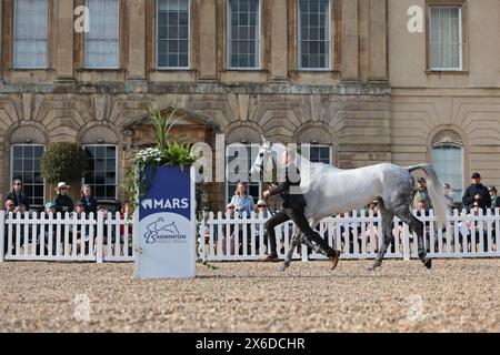 Tom Rowland de Grande-Bretagne avec Dreamliner lors de la deuxième inspection de chevaux au Badminton Horse Trials le 12 mai 2024, Badminton Estate, Royaume-Uni (photo de Maxime David - MXIMD Pictures) Banque D'Images