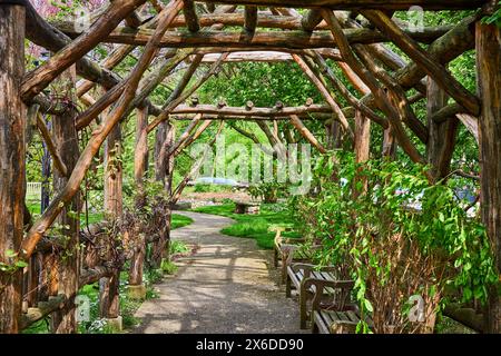 Pergola en bois rustique sur Garden Pathway, jardins bibliques de Varsovie Banque D'Images