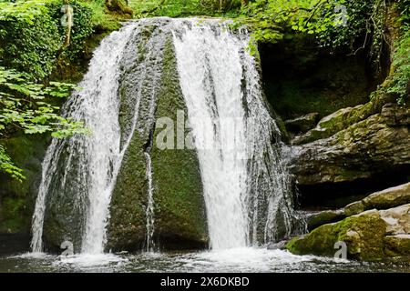 Janet`s Foss Waterfall et Gordale Beck, près de Malham Cove et Gordale Scar à Malhamdale, Yorkshire Dales, North Yorkshire, Angleterre, Royaume-Uni Banque D'Images