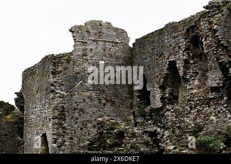 Jervaulx Abbey, East Witton, près de Ripon, North Yorkshire, Angleterre Royaume-Uni Banque D'Images