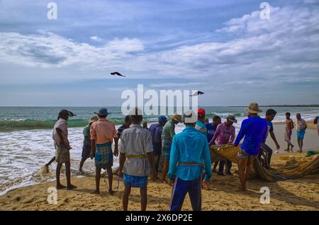 Les pêcheurs sri-lankais pêchent du poisson. Pêcheurs sri-lankais pêchant du poisson. Le filet jeté d'un bateau a, peut-être, un demi-kilomètre Ils le tirent à terre pour at le Banque D'Images