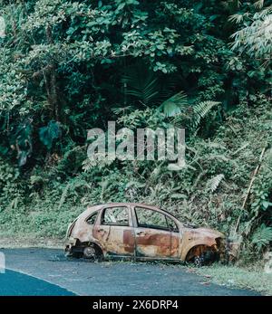 Voiture abandonnée rouillée entourée d'une végétation tropicale luxuriante sur le bord de la route en Martinique, soulignant le contraste entre la nature et l'objet artificiel Banque D'Images