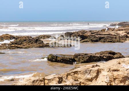 Afrique Morrocco Ocean Dunes Towns Vising Banque D'Images