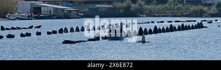 Italie, Sicile, Ganzirri (Messina), les pêcheurs qui travaillent dans une ferme de moules Banque D'Images