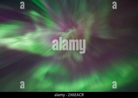 Belles aurores boréales roses, vertes et violettes. Corona auroral à Tromso Norvège. Banque D'Images