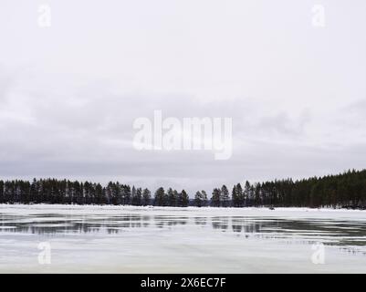 Vue de paysage de lac gelé avec réflexion de forêt sous ciel nuageux et sombre Banque D'Images