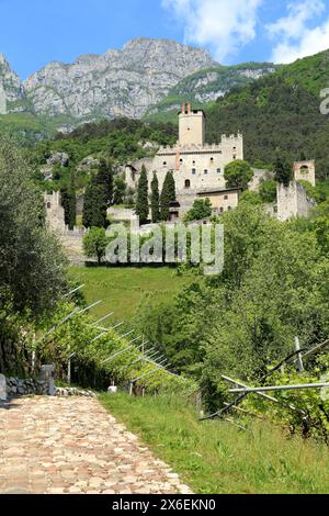 Château d'Avio. Castello di Sabbionara d'Avio, Trentin, Italie. Banque D'Images