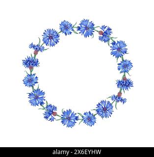 Couronne de bleuet de fleurs bleues illustration aquarelle. Elément de composition botanique isolé du fond. Convient pour les cosmétiques, aromatherap Banque D'Images