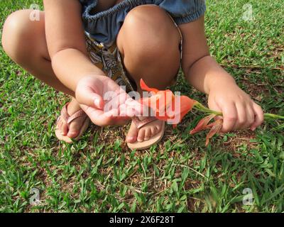 Un enfant squat, les pieds sur l'herbe verte, portant des tongs, caressant la fleur d'oranger, Gladiolus Dalenii, (Gardenia) avec ses mains. Banque D'Images