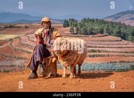 Yunnan, Chine. 27 avril 2024 : un vieux berger fumant pipe et assis sur la bûche de bois avec son bélier dans la ferme ouverte à Dongchuan Red Earth Land. Banque D'Images