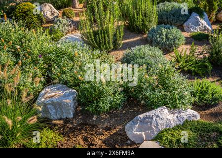 Arrière-cour avec aménagement paysager fantastique, patio, plantes résistantes à la sécheresse Banque D'Images