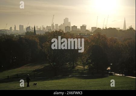 Photo de dossier datée du 4/11/2022 d'une femme promène un chien au lever du soleil sur Primrose Hill, Londres. Les principales organisations caritatives de conservation appellent les employés britanniques à défendre la nature sur leur lieu de travail. Le National Trust, le RSPB et le WWF ont dévoilé mercredi des orientations destinées à aider les travailleurs à encourager leurs entreprises à placer la crise climatique et naturelle au cœur de la prise de décision. Date d'émission : mercredi 15 mai 2024. Banque D'Images