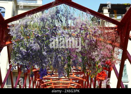 Temps d'exposition des fleurs de Gérone-2024, Catalogne, Espagne Banque D'Images