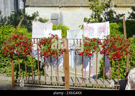 Temps d'exposition des fleurs de Gérone-2024, Catalogne, Espagne Banque D'Images