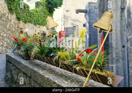 Temps d'exposition des fleurs de Gérone-2024, Catalogne, Espagne Banque D'Images