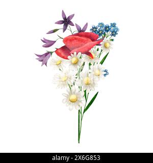 Bouquet aquarelle de fleurs sauvages coquelicot, chellflower, camomille Forget-me-not, illustration pour cartes, invitations, imprimer Banque D'Images