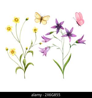 Fleurs sauvages ranonculus, chellflower, papillons, illustrations aquarelles isolées pour cartes, invitations, conception d'impression Banque D'Images