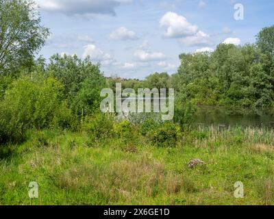 Une vue sur l'été Leys, une série d'anciennes carrières de gravier, maintenant une réserve naturelle appartenant à la fiducie de la faune locale ; Northamptonshire, Angleterre Banque D'Images