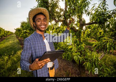 Portrait d'agriculteur afro-américain dans son verger. Il cultive des prunes. Banque D'Images