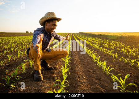 Portrait d'un agriculteur africain dans son champ de maïs en pleine croissance. Il est satisfait du progrès des plantes. Banque D'Images