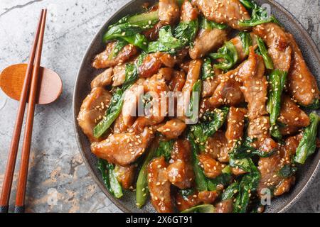 Porc sauté asiatique avec laitue romaine, sésame et ail dans une sauce épicée sucrée gros plan dans une assiette sur la table. Vue horizontale de dessus Banque D'Images