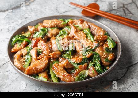 Filet de porc rôti en tranches avec laitue romaine, sésame et ail dans une sauce épicée sucrée gros plan dans une assiette sur la table. Horizontal Banque D'Images