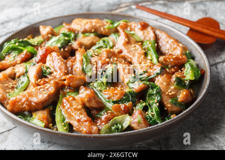 Porc sauté asiatique avec laitue romaine, sésame et ail dans une sauce épicée sucrée gros plan dans une assiette sur la table. Horizontal Banque D'Images