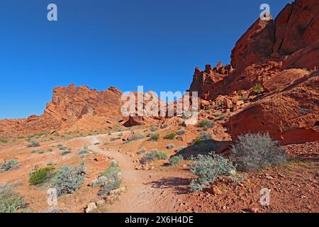 Sagebrush et des formations rocheuses rouges dans les grès du parc d'État de Valley of Fire sur le sentier menant à Balancing Rock près d'Overton, Nevada contre une Bright Banque D'Images