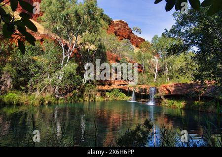 Chute d'eau dans le bassin de fougères, entouré d'une végétation luxuriante, à Dales gorge, dans le parc national de Karijini, Australie occidentale. Banque D'Images