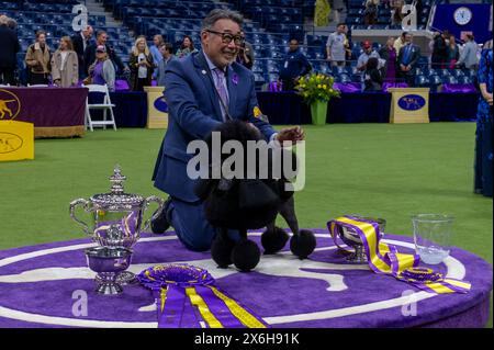 New York, New York, États-Unis. 14 mai 2024. (NOUVEAU) Westminster Kennel Club est couronné meilleur en exposition à l'exposition canine annuelle. 14 mai 2024, New York, New York, États-Unis : Handler Kaz Hosaka Poise avec Surrey Sage, également connu sous le nom de "Sage", un caniche miniature de Houston, Texas, dans la compétition Best in Show lors du 148e Westminster Kennel Club Dog Show au USTA Billie Jean King National Tennis Center dans le Queens le 14 mai 2024 à New York. (Crédit : M10s/TheNews2) (Foto : M10s/Thenews2/Zumapress) (crédit image : © Ron Adar/TheNEWS2 via ZUMA Press Wire) USAGE ÉDITORIAL SUR Banque D'Images