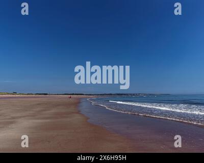 Un couple mûr marchant le long de la partie sablonneuse d'Elliot Beach près d'Arbroath à Low Tide par une journée ensoleillée de mai, avec de douces vagues arrivant. Banque D'Images