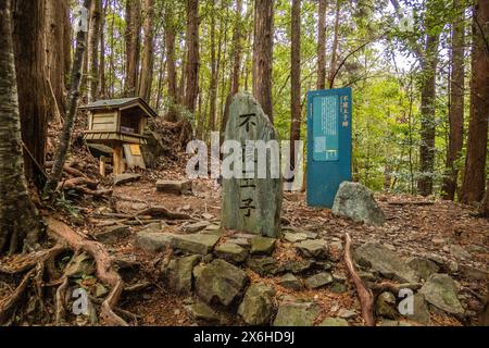 Statue de pierre de jizo de forêt sur la route de pèlerinage de Kumano Kodo Nakahechi, Nachisan, Wakayama, Japon Banque D'Images