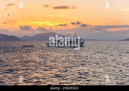 Île d'Evia, Pefki, Grèce - 8 août 2023 : bateau de pêche naviguant en mer sur l'île d'Evia en Grèce Banque D'Images