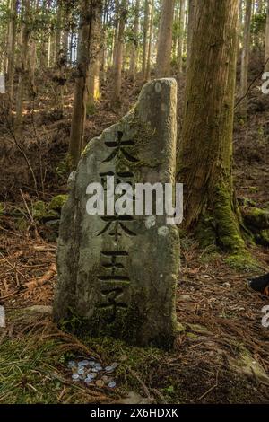 Statue de pierre de jizo de forêt sur la route de pèlerinage de Kumano Kodo Nakahechi, Nachisan, Wakayama, Japon Banque D'Images