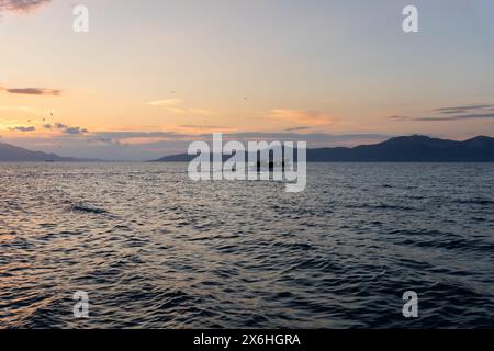 Bateau de pêche en mer dans l'île d'Evia en Grèce au coucher du soleil Banque D'Images
