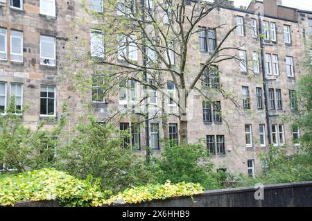 Les immeubles en pierre sont caractéristiques des logements à Glasgow - ils font partie du tissu de la ville depuis le XIXe siècle. Les loyers étaient les premiers Banque D'Images