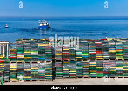 Caisses de fruits de mer colorées en Croatie, navire pour le transport de poissons et fruits de mer, rechargement de navires, caisses de transport de poissons Croatie Banque D'Images