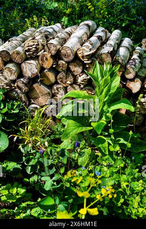 Pile de bûches créant un habitat faunique, se mélangeant entre les bordures florales. Abri pour insectes et invertébrés en tas de bois. Banque D'Images