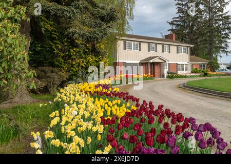 Une grande maison avec des plantations printanières dans la vallée de Skagit, Washington, États-Unis. Banque D'Images