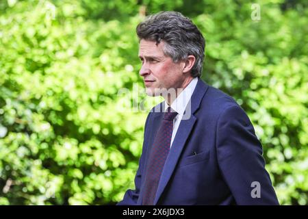 Londres, Royaume-Uni. 15 mai 2024. Gavin Williamson, député, ancien secrétaire à la Défense, whip en chef et ancien secrétaire à l'éducation, entre dans Downing Street cet après-midi. Crédit : Imageplotter/Alamy Live News Banque D'Images