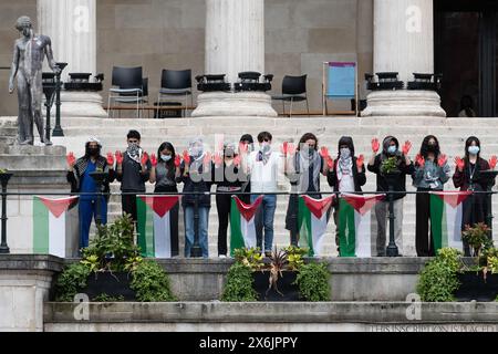 Londres, Royaume-Uni. 15 mai 2024. Des étudiants avec des mains peintes en rouge se tiennent derrière une rangée de drapeaux palestiniens sur les marches de l'University College de Londres alors que 'UCL signifie Justice' rallie dans l'enceinte de l'université, qu'ils occupent depuis le 2 mai 2024, pour protester contre la guerre d'Israël contre Gaza et exiger que le collège se désengage des entreprises, y compris des fabricants d'armes, qui approvisionnent Israël et appeler l'université à condamner les actions israéliennes qui violent le droit international. L'occupation étudiante est l'une des nombreuses qui se déroulent dans le centre de Londres. Crédit : Ron Fassbender/Alamy Live News Banque D'Images