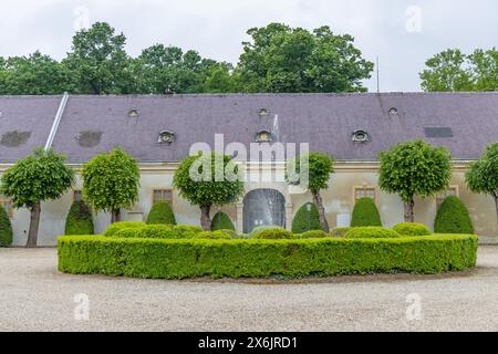 Château de Halbturn, Halbturn, parc du château, avenue, Autriche Banque D'Images