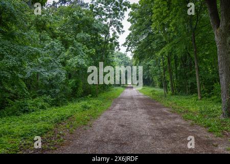 Château de Halbturn, Halbturn, parc du château, avenue, Autriche Banque D'Images