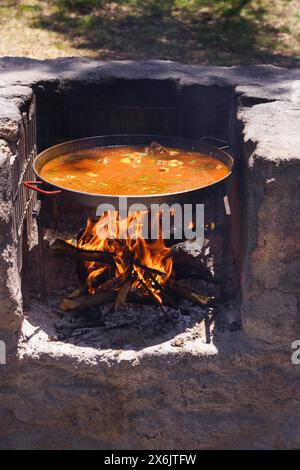 Gros plan d'une poêle à paella avec une paella espagnole typique cuisiner sur le feu dans la campagne Banque D'Images