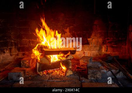 Feu de joie brûlant du bois dans un four à bois. Cheminée. Banque D'Images