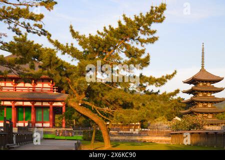 Japon, Nara, Temple Kofukuji, Hall d'or central, Pagode à cinq étages, Banque D'Images