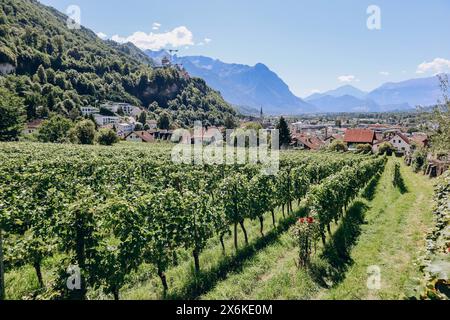 Vaduz, Liechtenstein - 11 août 2023 : vignobles à Vaduz, dans la Principauté du Liechtenstein Banque D'Images